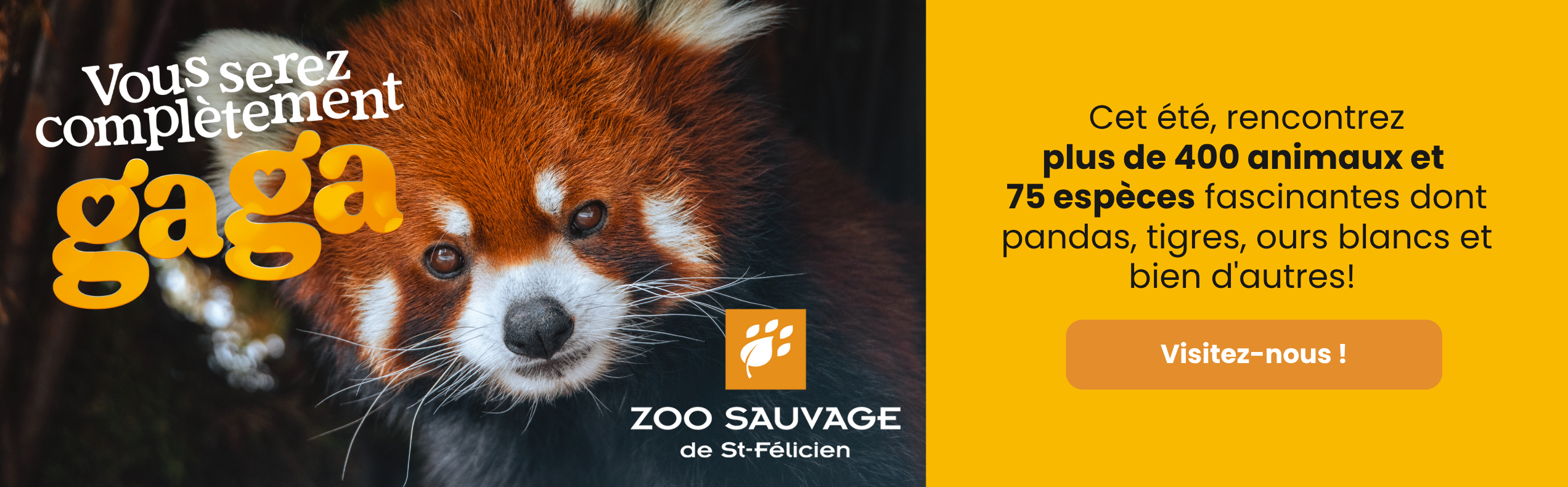 2544x790px - quoifaire (1)