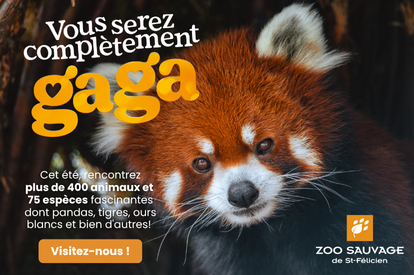 414x275px-quoifaire (1)