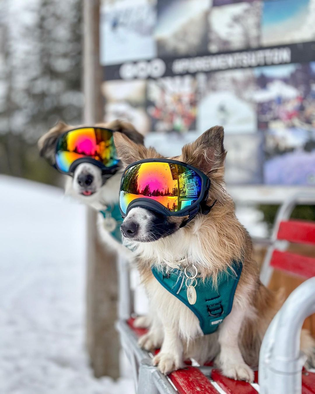 Les activités d’hiver à ne pas manquer dans les Cantons-de-l’Est