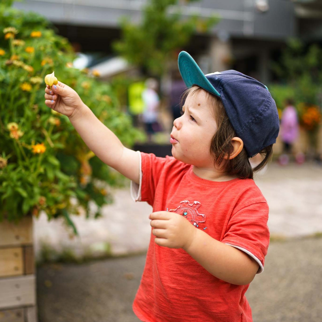 7 activités familiales incroyables à essayer à Montréal