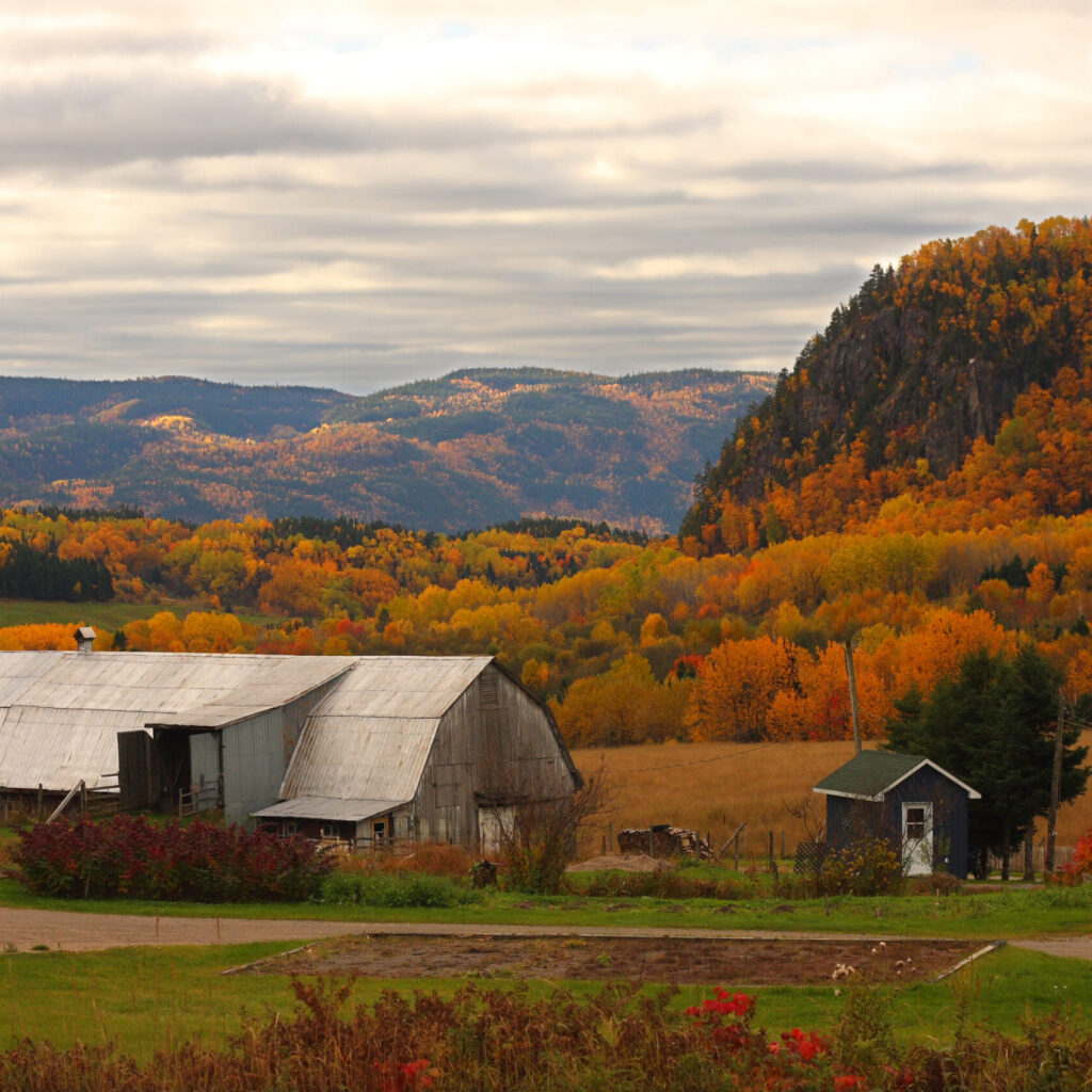 Cap sur l’automne au Saguenay–Lac-Saint-Jean