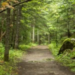 Randonnée au Parc régional de la rivière Mitis